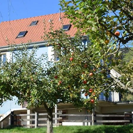 Les Locations De Stephanie ,Gite Le Verger Sondernach Bagian luar foto