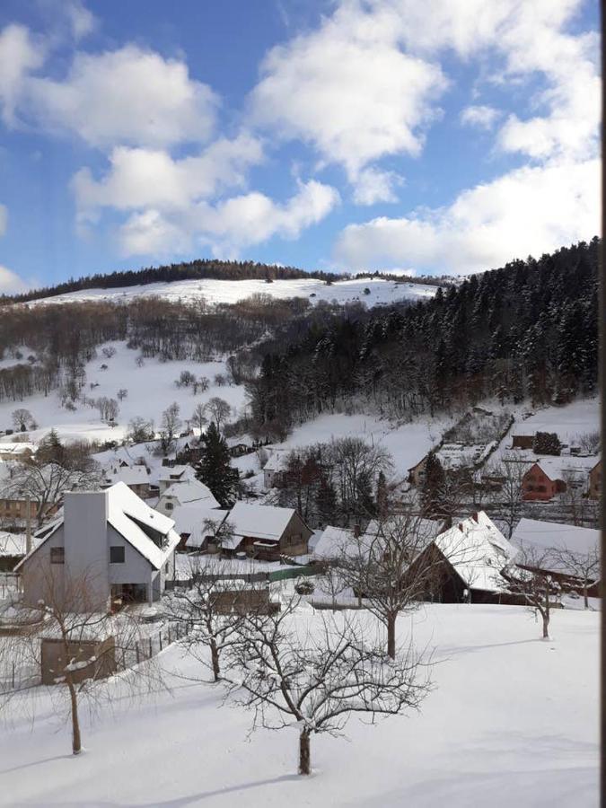 Les Locations De Stephanie ,Gite Le Verger Sondernach Bagian luar foto