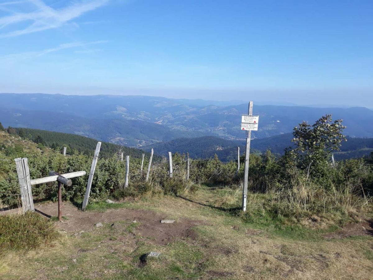 Les Locations De Stephanie ,Gite Le Verger Sondernach Bagian luar foto