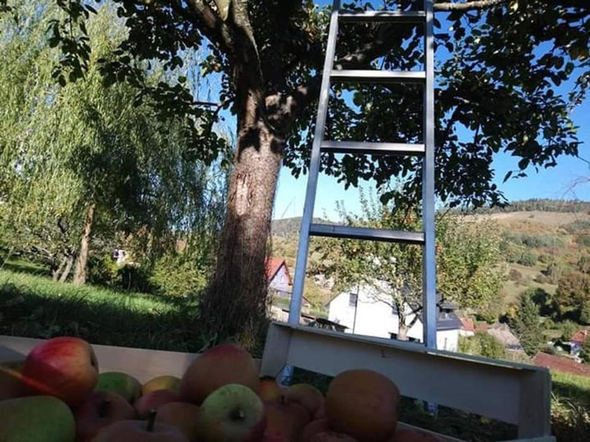 Les Locations De Stephanie ,Gite Le Verger Sondernach Bagian luar foto