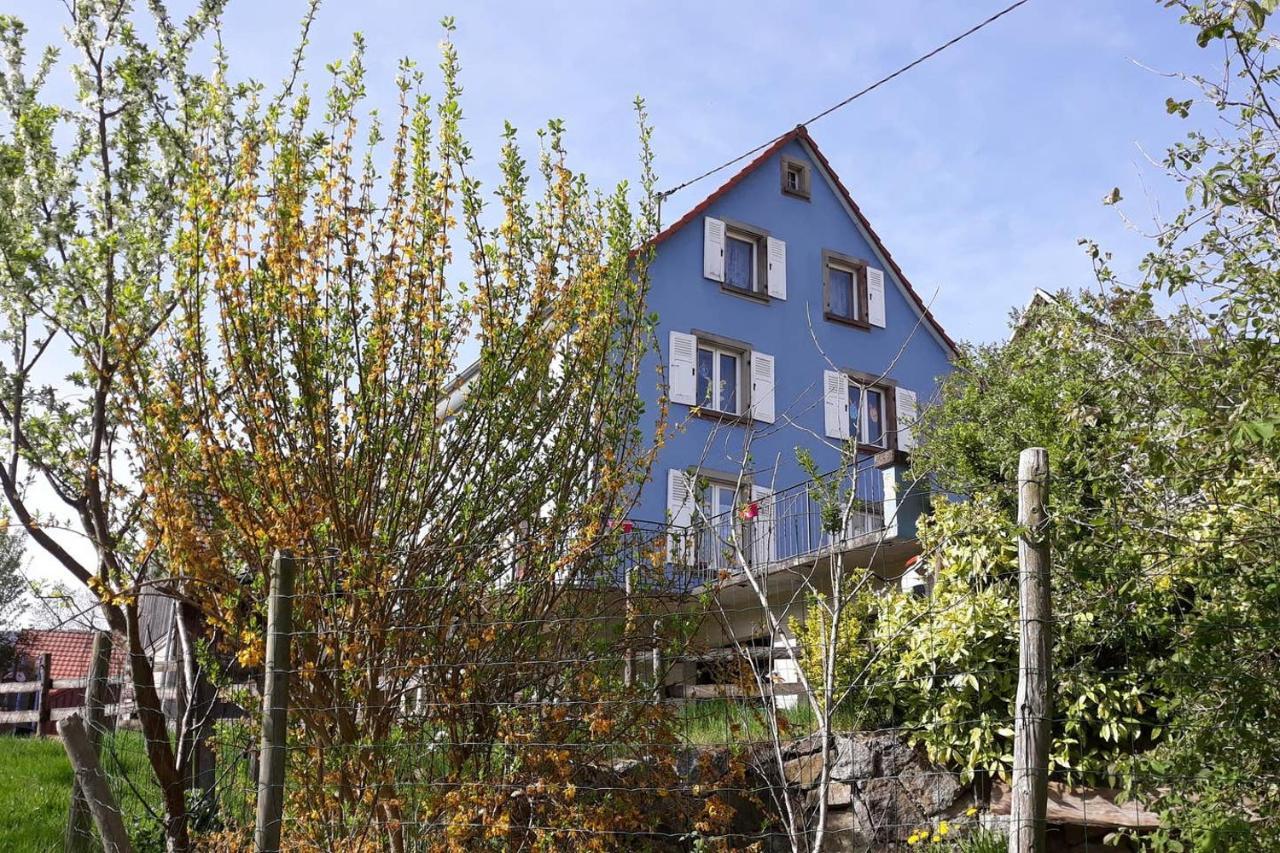 Les Locations De Stephanie ,Gite Le Verger Sondernach Bagian luar foto