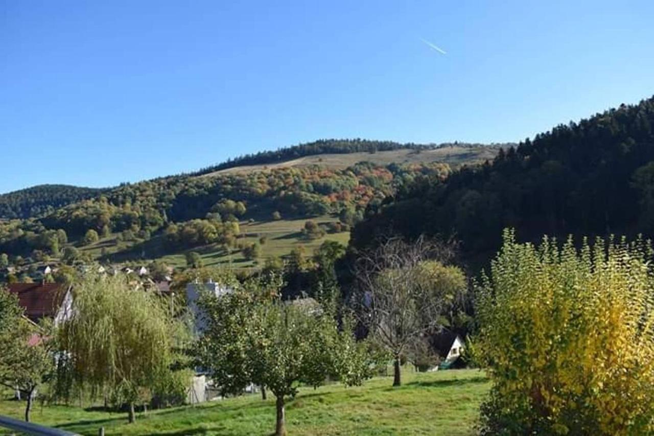 Les Locations De Stephanie ,Gite Le Verger Sondernach Bagian luar foto