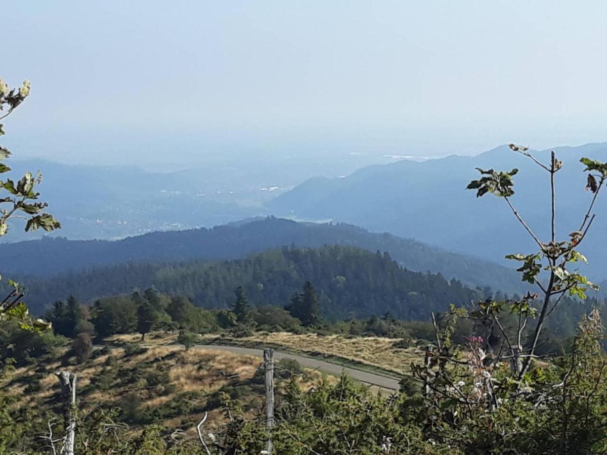Les Locations De Stephanie ,Gite Le Verger Sondernach Bagian luar foto