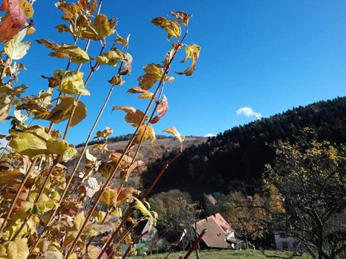 Les Locations De Stephanie ,Gite Le Verger Sondernach Bagian luar foto