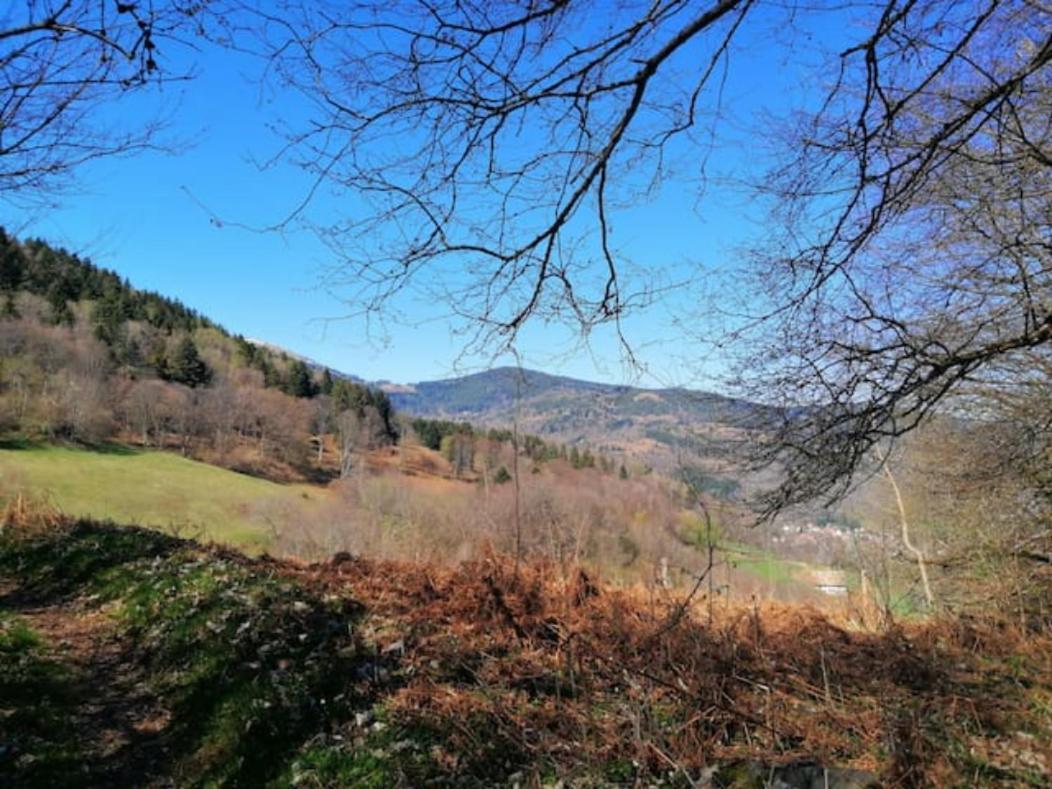 Les Locations De Stephanie ,Gite Le Verger Sondernach Bagian luar foto