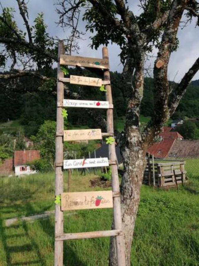 Les Locations De Stephanie ,Gite Le Verger Sondernach Bagian luar foto