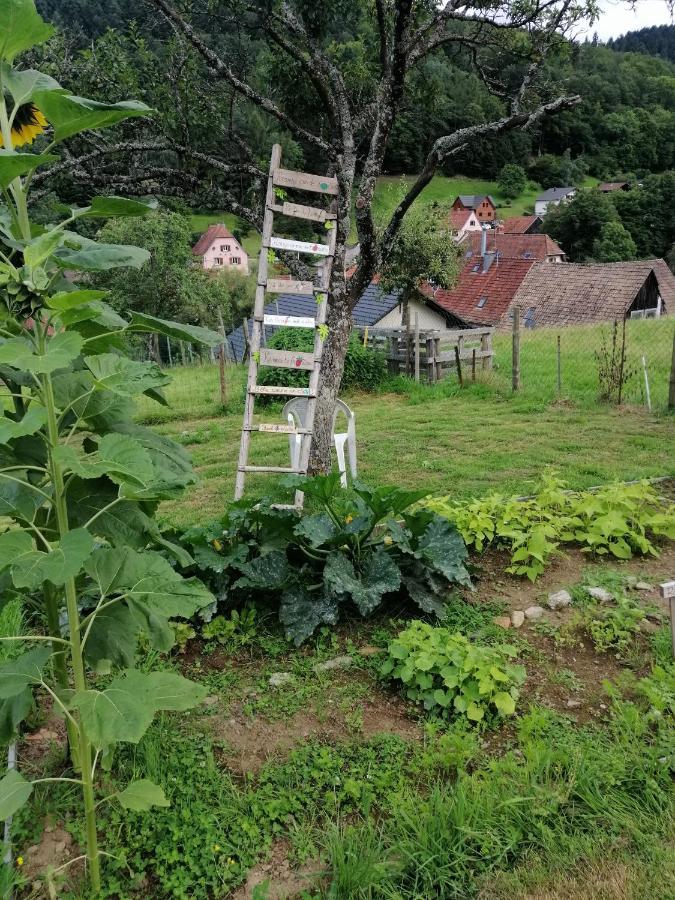 Les Locations De Stephanie ,Gite Le Verger Sondernach Bagian luar foto