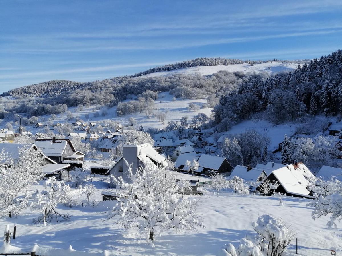 Les Locations De Stephanie ,Gite Le Verger Sondernach Bagian luar foto