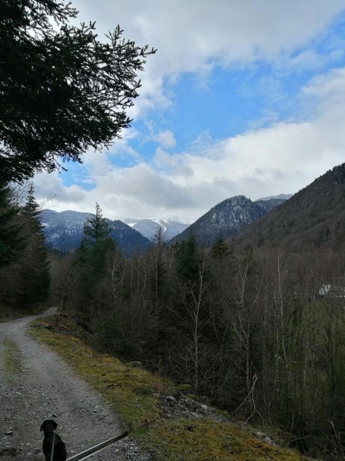 Les Locations De Stephanie ,Gite Le Verger Sondernach Bagian luar foto